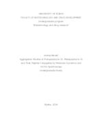 Istraživanje agregacije protoporfirina IX, mezoporfirina IX i njihovih peptidnih konjugata pomoću simulacija molekularne dinamike i UV/Vis spektroskopije