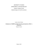 prikaz prve stranice dokumenta Analysis of ADAR protein during productive HSV-1 Infection