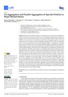 prikaz prve stranice dokumenta Co-Aggregation and Parallel Aggregation of Specific Proteins in Major Mental Illness