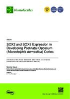 prikaz prve stranice dokumenta SOX2 and SOX9 Expression in Developing Postnatal Opossum (Monodelphis domestica) Cortex